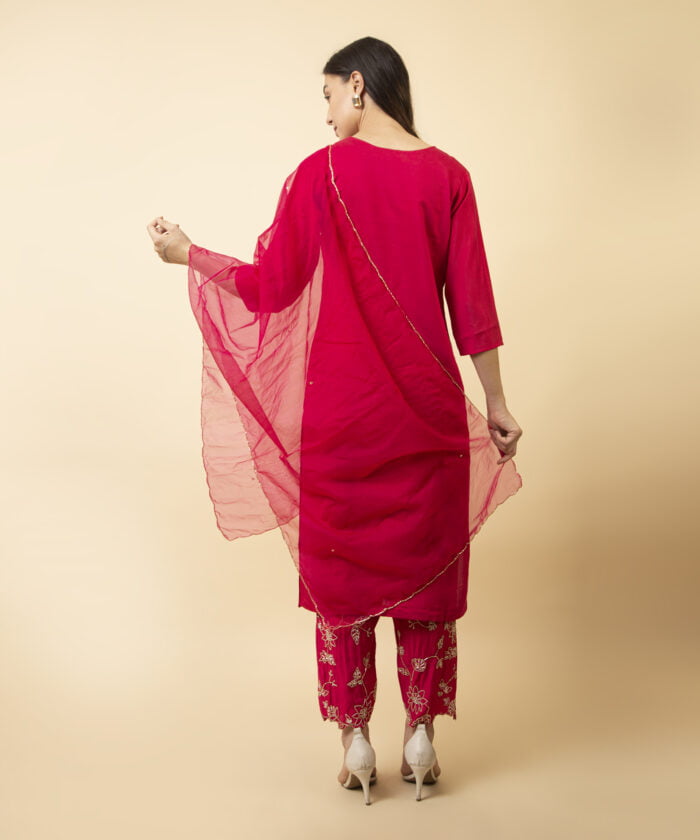 Hand Embroidered Kurta with pant & dupatta - Image 3